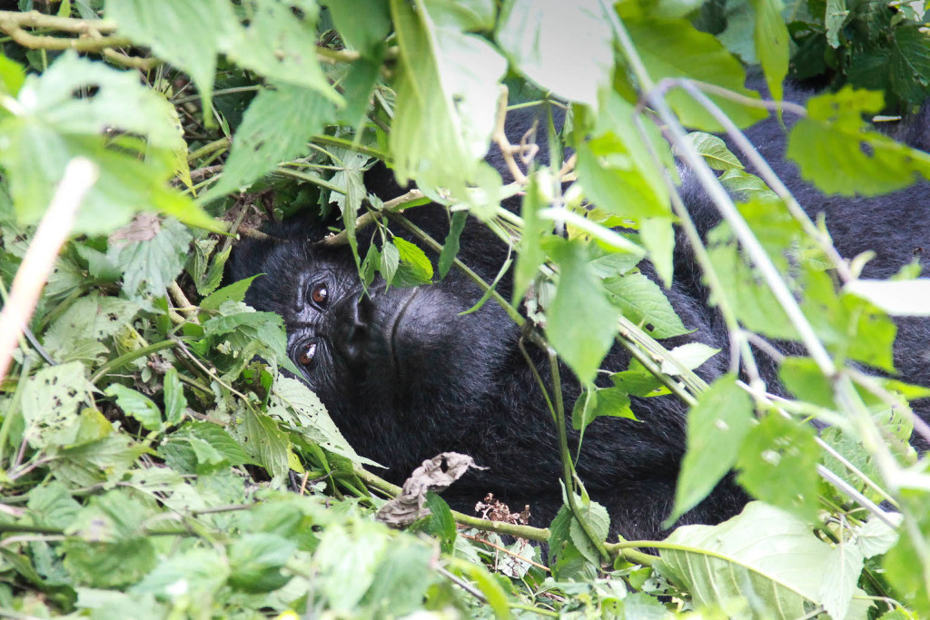 Rwanda-25