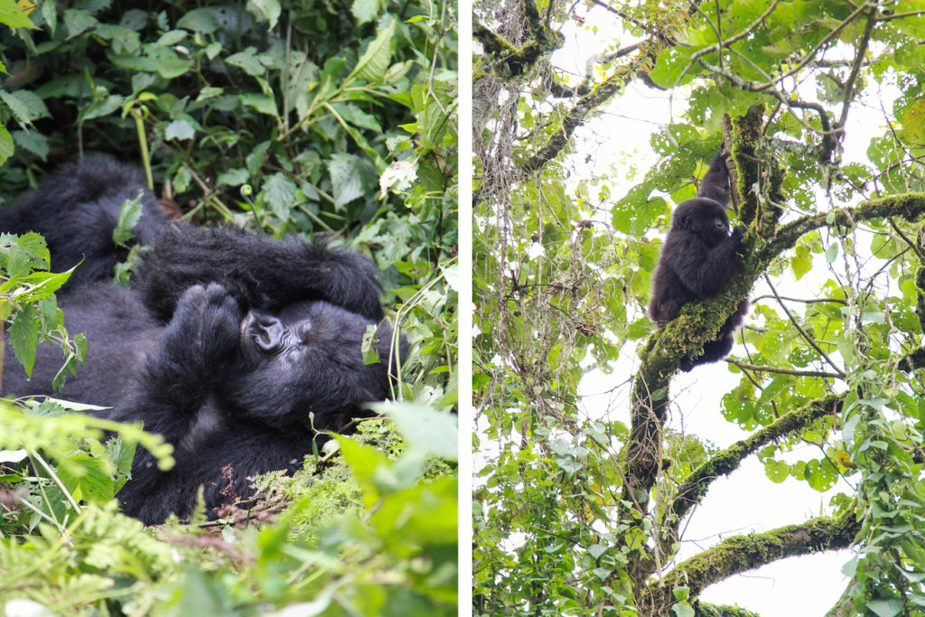 Rwanda4